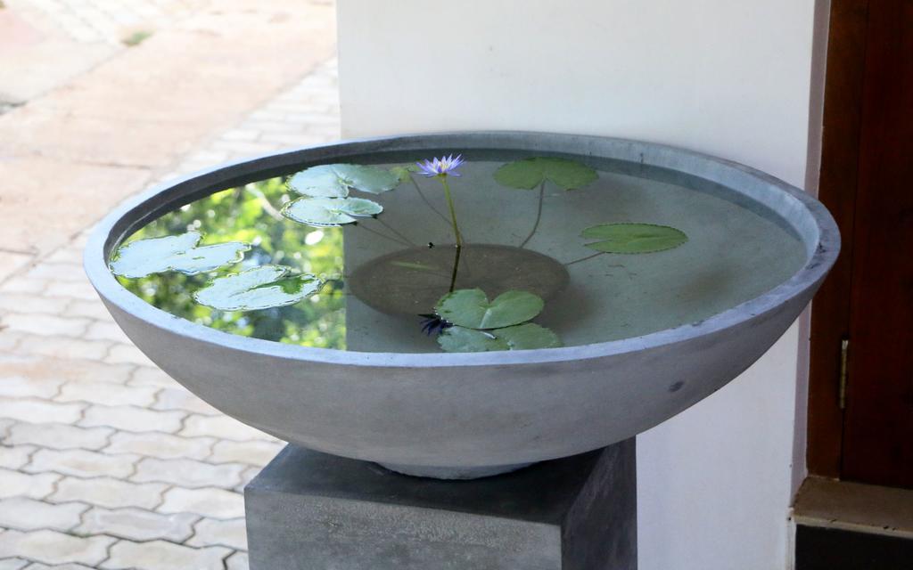 Hotel T & T Anuradhapura Luaran gambar